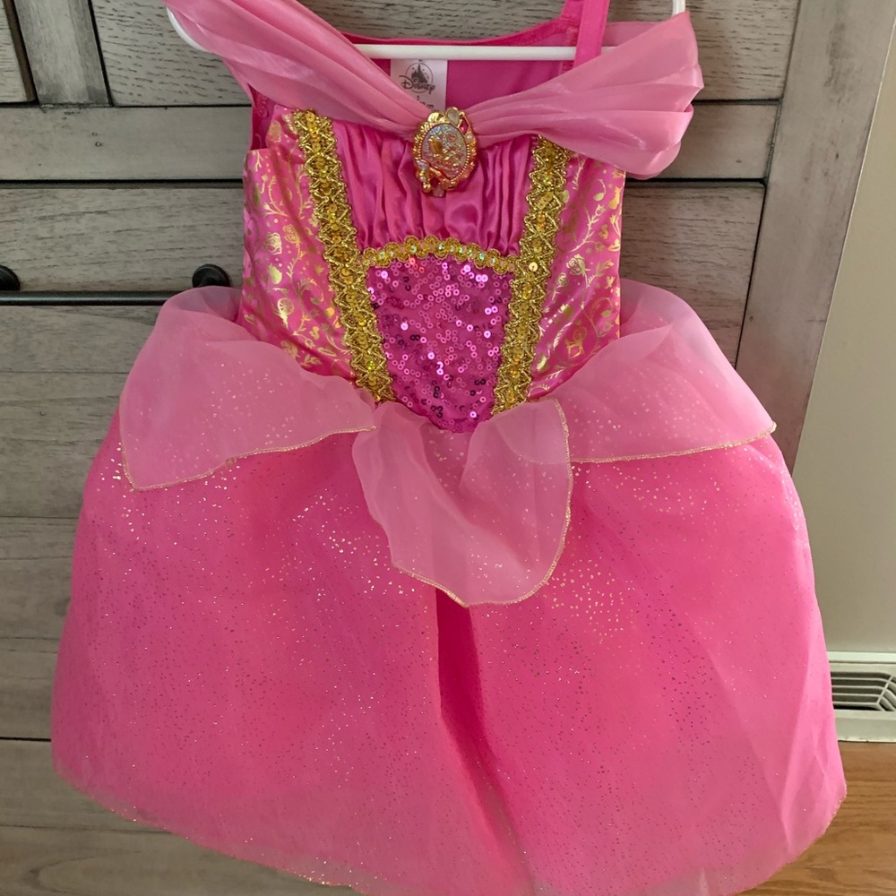 Aurora dress. Princess dress